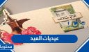 عيديات العيد 2026 واجمل الافكار والتوزيعات لعيديات عيد الاضحى 1447