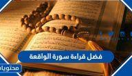 فضل قراءة سورة الواقعة للرزق والزواج وسبب تسميتها