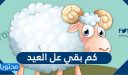 كم بقي عل العيد .. كم باقي على عيد الاضحى لعام 1447 /2026