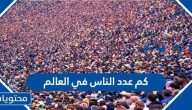 كم عدد الناس في العالم