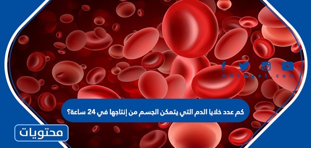 شكل خلايا الدم الحمراء