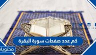 كم عدد صفحات سورة البقرة