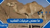 ما معنى مرخيات القلايد