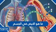 ما هو الايض في الجسم