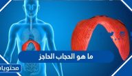 ما هو الحجاب الحاجز وما هي وظيفته وأجزائه وأمراضه