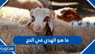 ما هو الهدي في الحج