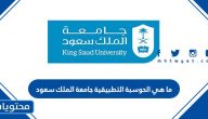 ما هي الحوسبة التطبيقية جامعة الملك سعود