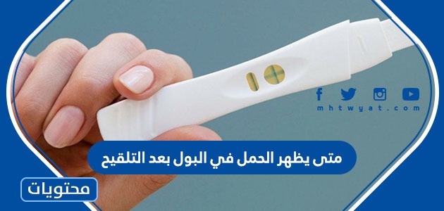 متى يظهر الحمل في البول بعد التلقيح ؟ نصائح للمرأة بعد التأكد من حدوث حمل