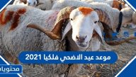 موعد عيد الاضحي فلكيا 2021 / 1442