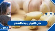 هل الثوم ينبت الشعر ؟ وطرق استخدام الثوم للشعر بأكثر من طريقة