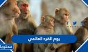 معلومات عن يوم القرد العالمي 2025