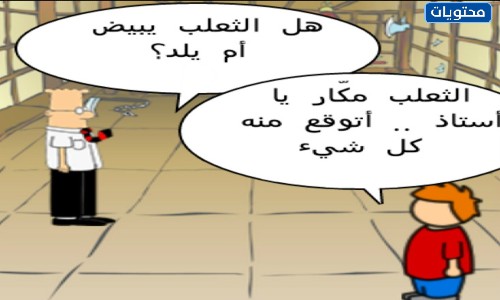 نكت مصورة عن المدرسة