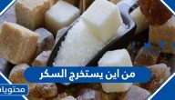من اين يستخرج السكر