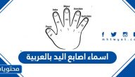 اسماء اصابع اليد بالعربية