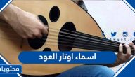 اسماء اوتار العود