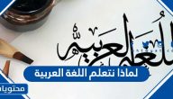 لماذا نتعلم اللغة العربية