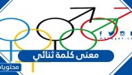 معنى كلمة ثنائي