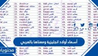 أسماء أولاد انجليزية ومعناها بالعربي
