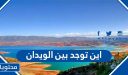 أين توجد بين الويدان