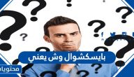بايسكشوال وش يعني .. ما معنى كلمة بايسكشوال