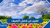 تعبير عن فصل الصيف