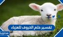 تفسير حلم الخروف للعزباء والمتزوجة والحامل في المنام بالتفصيل