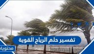 تفسير حلم الرياح القوية في المنام لكبار علماء تأويل وتفسير الأحلام