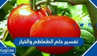 تفسير حلم الطماطم والخيار في منام العزباء والمتزوجة والحامل
