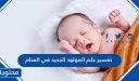 تفسير حلم المولود الجديد في المنام للعزباء والمتزوجة والحامل والرجل