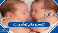 تفسير حلم توأم بنات في المنام للعزباء والمتزوجة والحامل