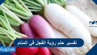 تفسير حلم رؤية الفجل في المنام لابن سيرين والنابلسي