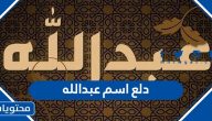 دلع اسم عبدالله وصفات حامل الاسم وفضل التسمي به في الإسلام