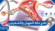 علاج حكة المهبل والشفرتين