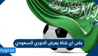 على اي قناة يعرض الدوري السعودي 2021