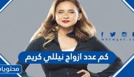 كم عدد أزواج نيللي كريم