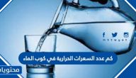 كم عدد السعرات الحرارية في كوب الماء وما الفوائد الصحية للماء