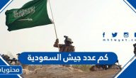 كم عدد جيش السعودية وما ترتيبه بين الجيوش العالمية 2025