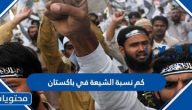 كم نسبة الشيعة في باكستان