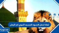 لماذا تدخل الاسود المسجد النبوي اخر الزمان