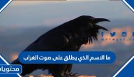 ما الاسم الذي يطلق على صوت الغراب