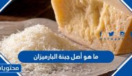 ما هو أصل جبنة البارميزان وأبرز استخداماتها
