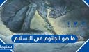 ما هو الجاثوم في الإسلام