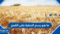 ما هو رسم الحماية على القمح ولماذا تم إلغاءه في السعودية