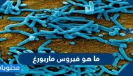 ما هو فيروس ماربورغ ؟ وما هي أعراضه وأسبابه وكيفية علاجه