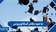 ما هو نظام البكالوريوس