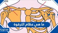 ما هي عظام الترقوة ؟ وطرق علاج كسور عظمة الترقوة