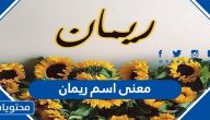 معنى اسم ريمان وحكم التسمية به في الإسلام