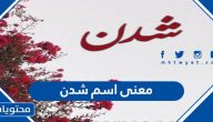معنى اسم شدن وصفات حاملة الاسم وحكم التسمية به في الإسلام