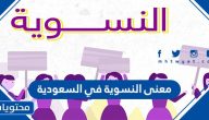 معنى النسوية في السعودية