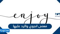 معنى انجوي والرد عليها .. اذا احد قال enjoy وش ارد